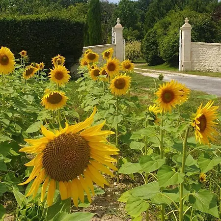 Le Domaine Des Doucins & Spa, 4 Etoiles, 10 Minutes De Jonzac Piscine Et Casa de Férias *